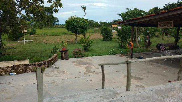 Arrendamento, Aluguel ou Venda de Chacara Estrada da Guia km14 Hidroponia, Confinamento - Foto 13