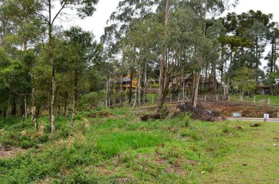 Terreno residencial à venda, casa grande, gramado. - Foto 6