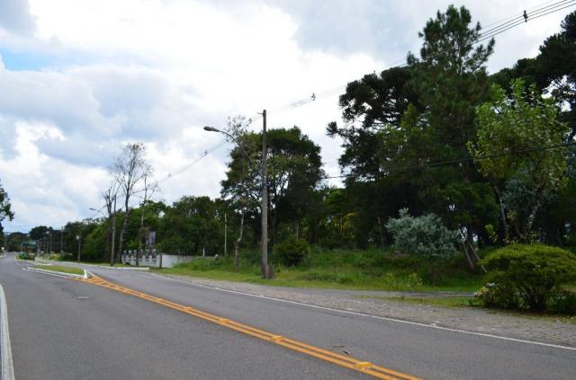 Terreno à venda, 5000 m² por r$ 3.500.000,00 - vila suica - canela/rs - Foto 17
