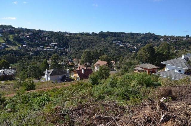 Terreno residencial à venda, vale das colinas, gramado. - Foto 5