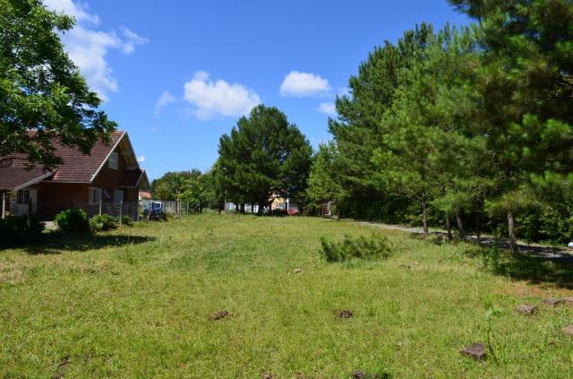 Terreno à venda, 3945 m² por R$ 3.500.000,00 - Centro - Canela/RS - Foto 12