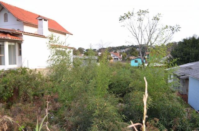 Terreno residencial à venda, são josé, canela. - Foto 6