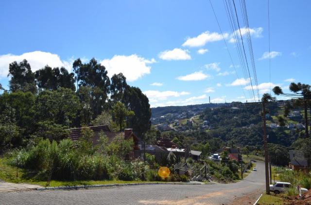 Terreno residencial à venda, vale das colinas, gramado. - Foto 10