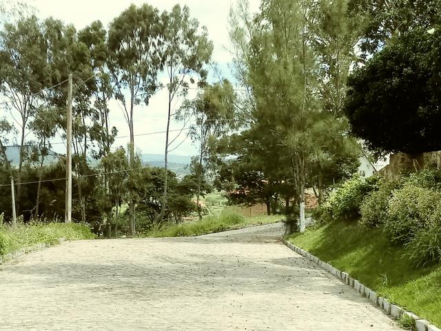 Lotes com parcelas a partir de R$ 562,50 mensais em Gravatá - Foto 4