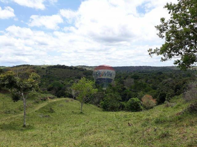 Fazenda à venda em Porto Seguro (Vera Cruz), Bahia - Foto 19