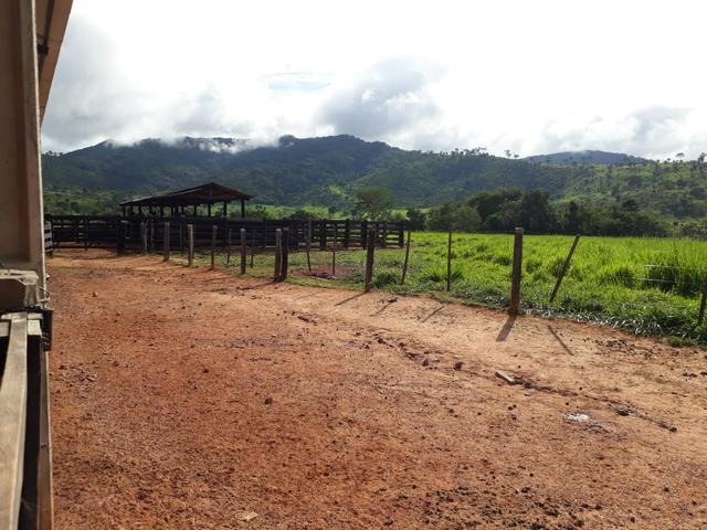 Fazenda em Santo Antônio á venda - Foto 10