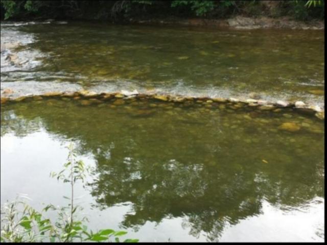 Chácara Coxipó do ouro á venda 27 hectares - Foto 3