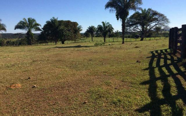 Fazenda em Nova Olímpia MT 550 hectares - Foto 2