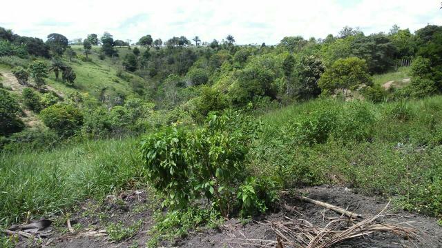 Sitio - Foto 11