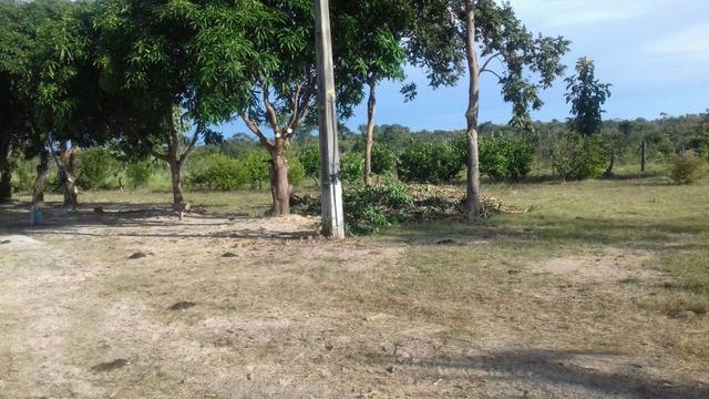 Vendo Sitio / Chácara 72 hectares, Pecuária ou lavoura, Casa, energia, Agua, Nobres - Foto 6