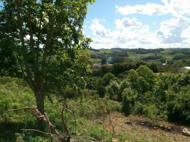 Terreno no Vale dos Vinhedos - Foto 12