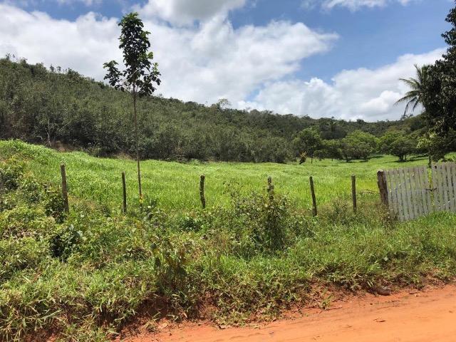 Fazenda Rio Branco - Foto 11