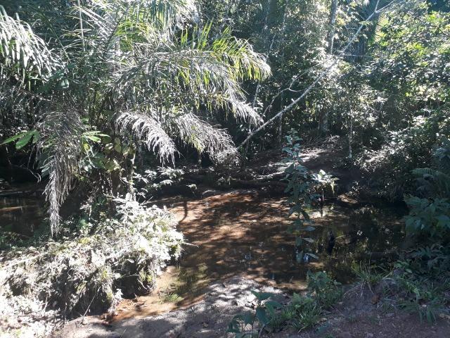 Fazenda de 785 hectares em Rosário Oeste MT - Foto 16
