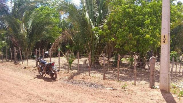 Terreno em nazaria - Foto 4