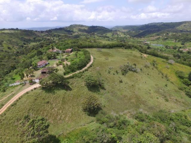 Sítio 7 Hectares - 5 Nascentes em Chã Grande - Foto 12