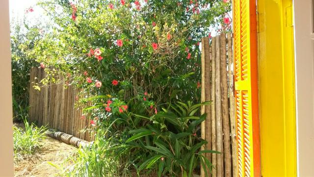 "Charmosa Casinha, perto da Praia, amplo terreno com jardim, em Paraty - RJ! - Foto 5