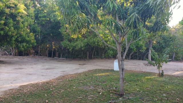 Fazenda em novo acordo - Foto 3