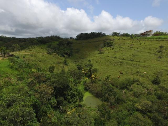 Sítio 7 Hectares - 5 Nascentes em Chã Grande - Foto 6