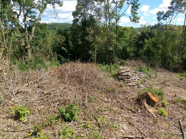 Terreno no Vale dos Vinhedos - Foto 11
