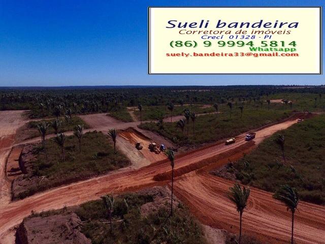 Loteamento Vila Verde Teresina - PI - Foto 4