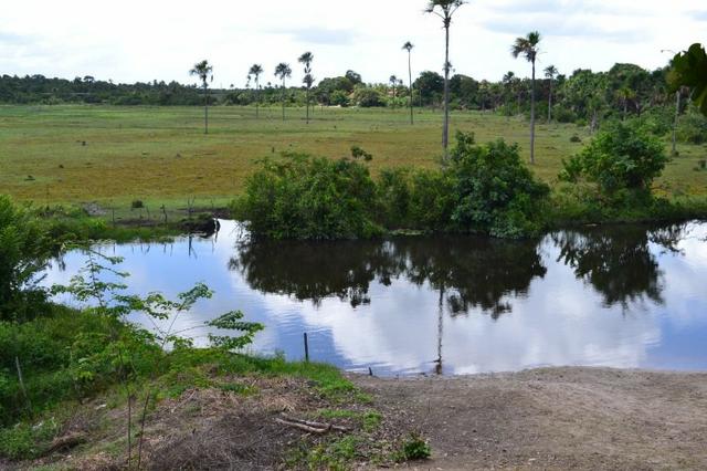 Sitio a venda em Barreirinhas, com área de 9.804 m² - Foto 8