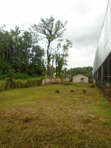 Terreno para alugar em America, Joinville cod:05753.004 - Foto 7