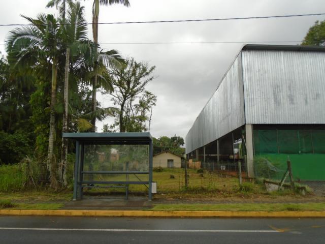 Terreno para alugar em America, Joinville cod:05753.004 - Foto 3