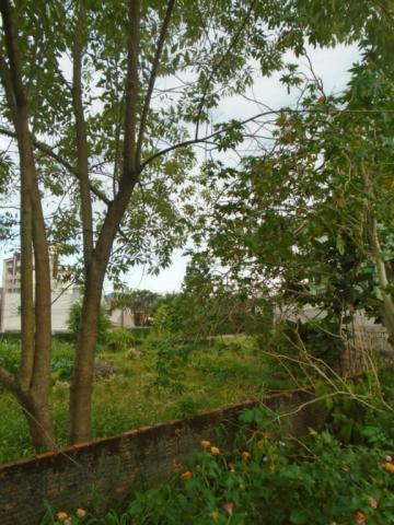 Terreno para alugar em Santo antonio, Joinville cod:07792.001