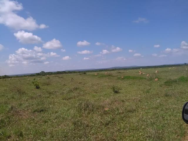 Fazenda em paranatinga - Foto 4
