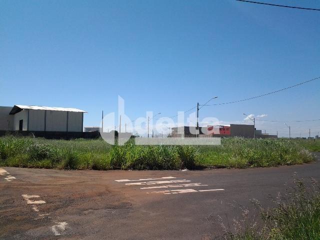 Terreno para alugar em Novo mundo, Uberlândia cod:521607