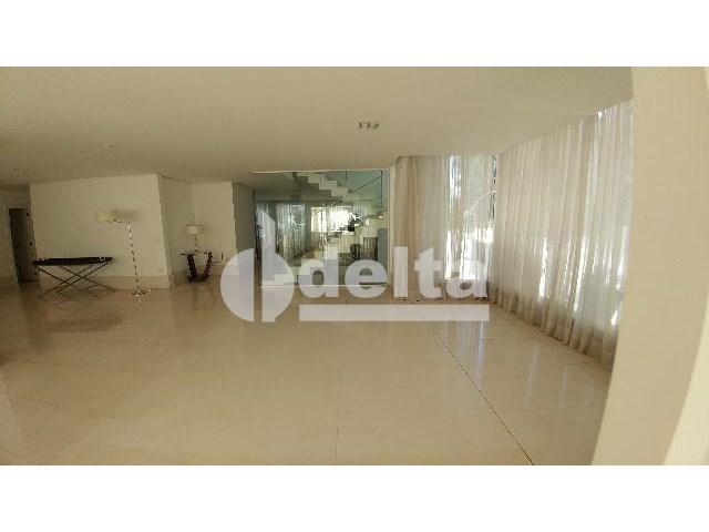 Casa para alugar com 0 dormitórios em Patrimônio, Uberlândia cod:559204 - Foto 12