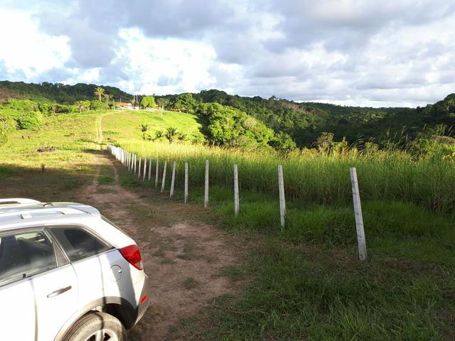 Sítio com 11.67 hectares em Igarassu/PE - Foto 5