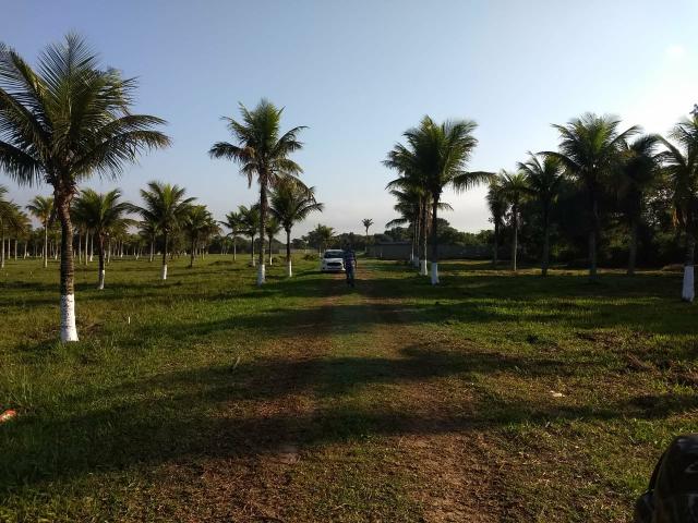 Gs cod Lotes Prontos Para Construir, 1km da Rodovia Amaral Peixoto!! - Foto 5