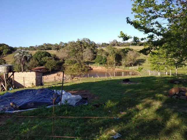 Velleda oferece sítio 3 hectares, 3 dormitórios, horta irrigada, 2 piscinas, açude - Foto 10