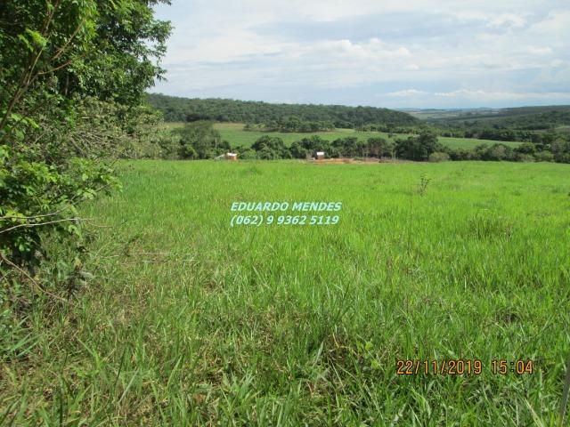 Chácara de lazer c/ água a 1 km de Gameleira de Goiás - Foto 18