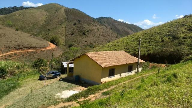 Vendo Sítio de porteira fechada - Foto 5