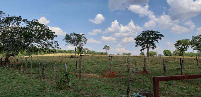 Fazenda 38 Alqueires em Bela Vista - Foto 3