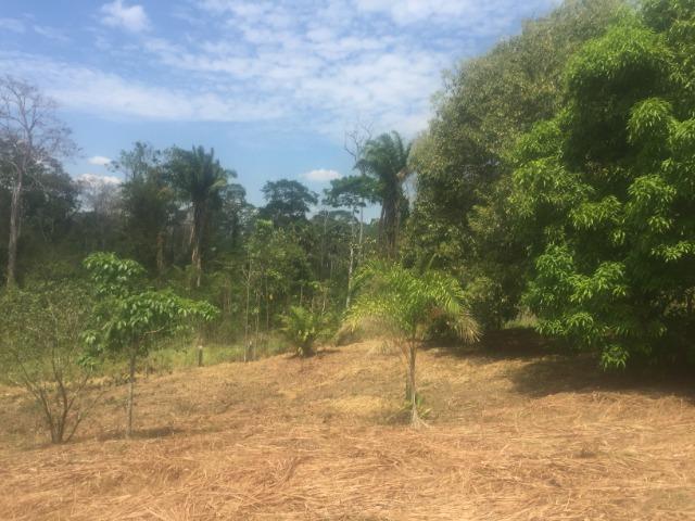 Terreno para chácara no bujari