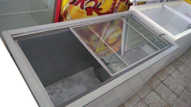 Frerzer vidro 400 litro