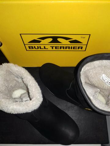 Bull terrier - Foto 3