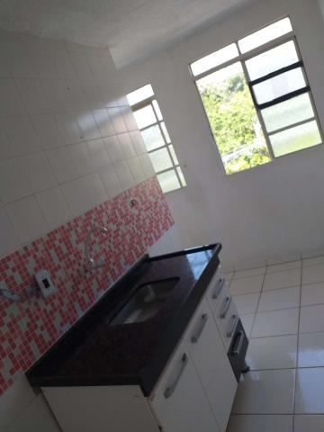 Apto 2 quartos Direto com o Proprietário - Chácara Roselândia, 13972 - Foto 3