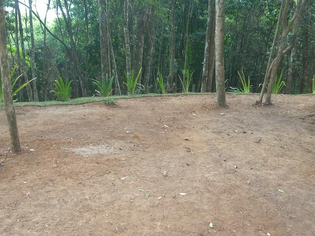 Lindo Terreno em meio à Natureza no bairro Fazenda - Foto 12