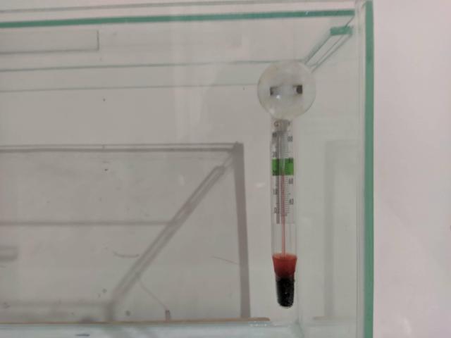 Aquário 11L - Foto 2