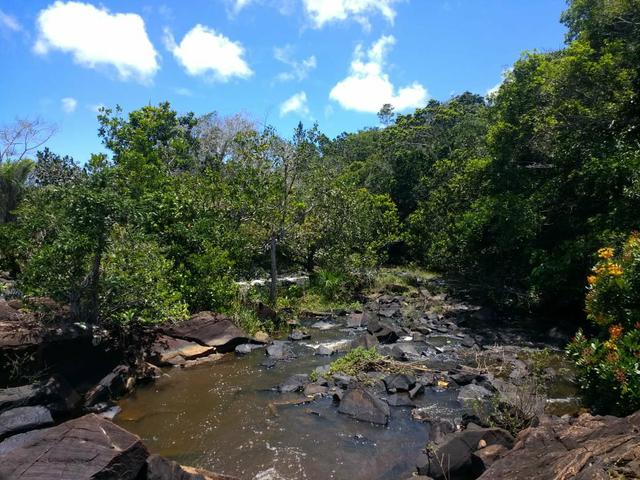 Cachoeiras do Sauípe - Grande oportunidade de comprar seu lote facilitado em 60x. RTQ53637 - Foto 3