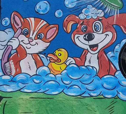 Pintor, letreiro ,placa , faxada - Foto 5