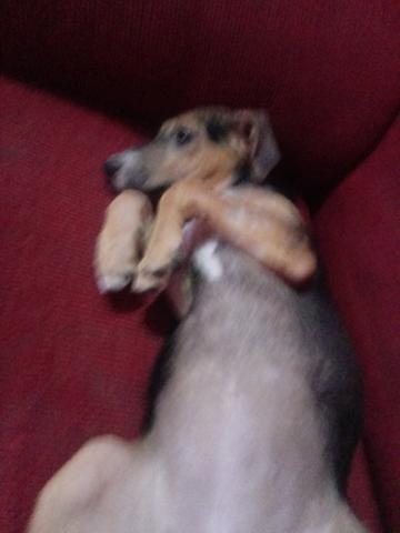 Doação - Foto 5
