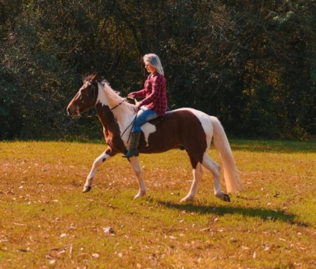 Lindo cavalo Tubiano - Foto 2