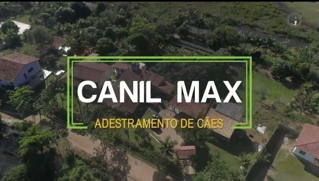 Canil max