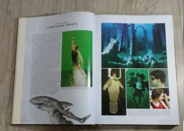 Harry Potter Das Páginas Para As Telas - Foto 4