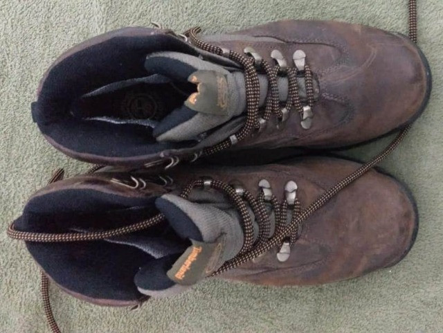 timberland fibra de carbono